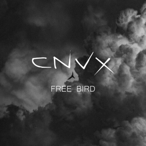 CNVX-Freebird-Single-Cover